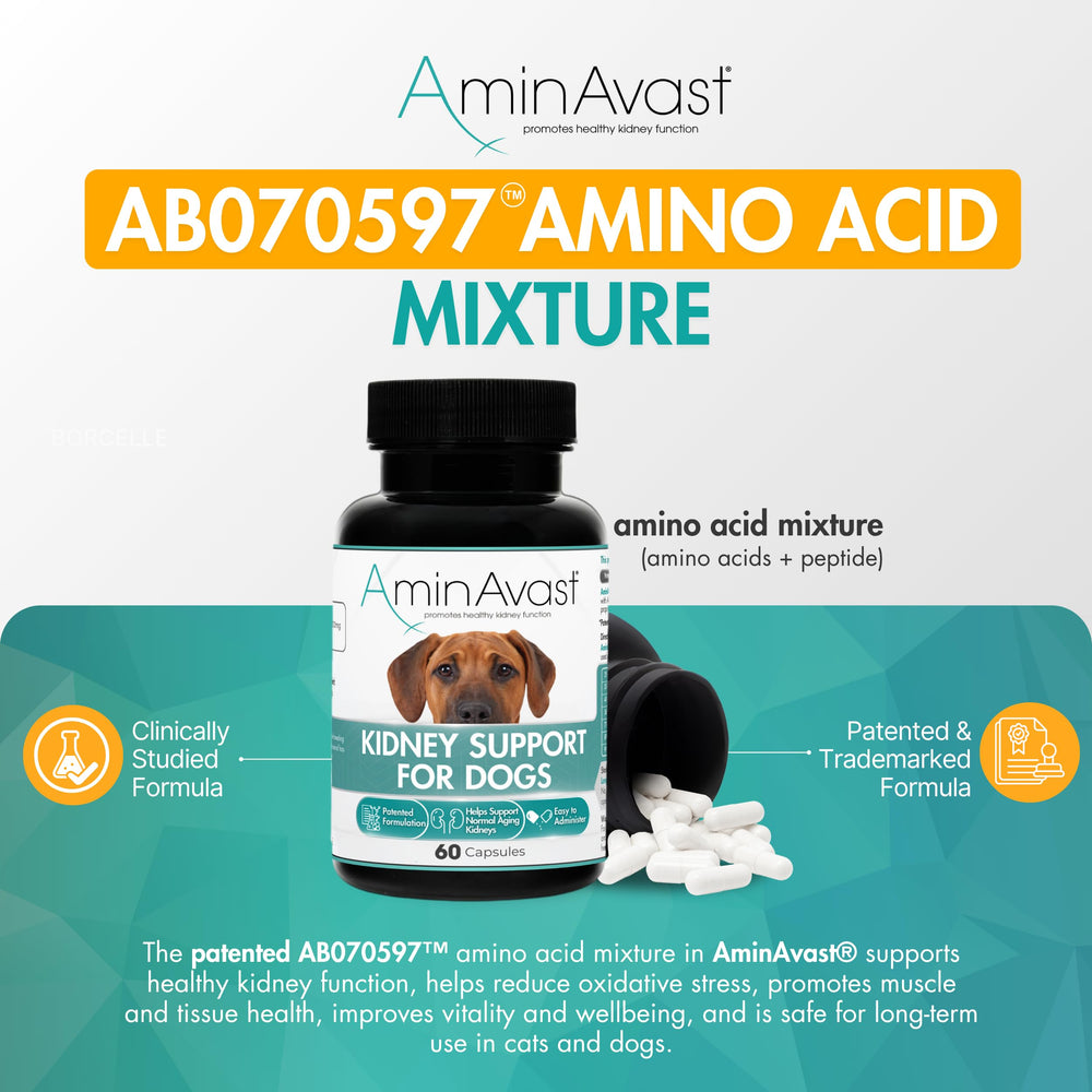 AminAvast capsule ouverte montrant la poudre facile à saupoudrer pour alimentation