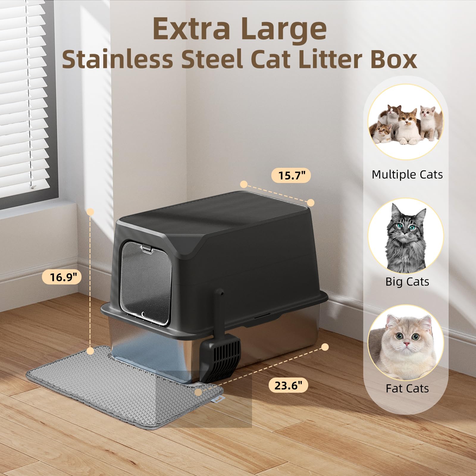 Amniau bac inox comparaison taille montre capacité pour grands chats