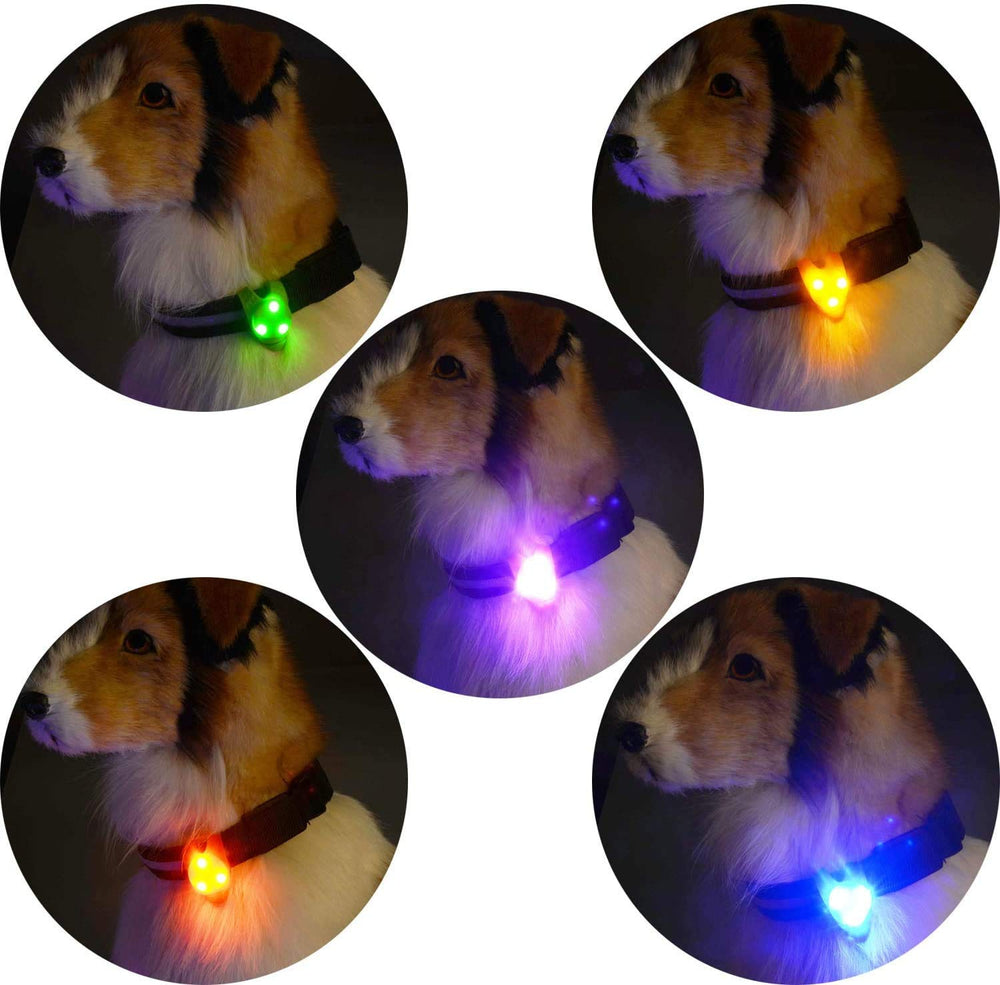 AMNQUERXUS collier LED en camping nocturne augmentant visibilité et tranquillité