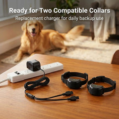 AMOWA adaptateur en usage branché sur un collier PetSafe pour recharge rapide