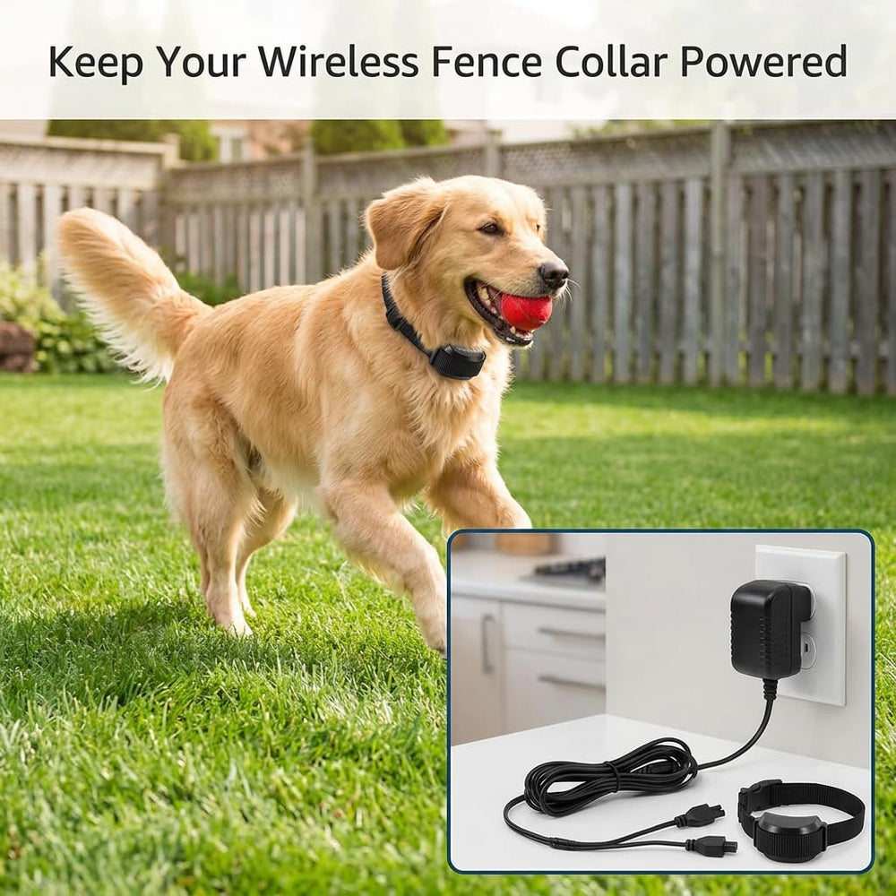 AMOWA emballage avec étiquette montrant compatibilité PetSafe et informations produit claires
