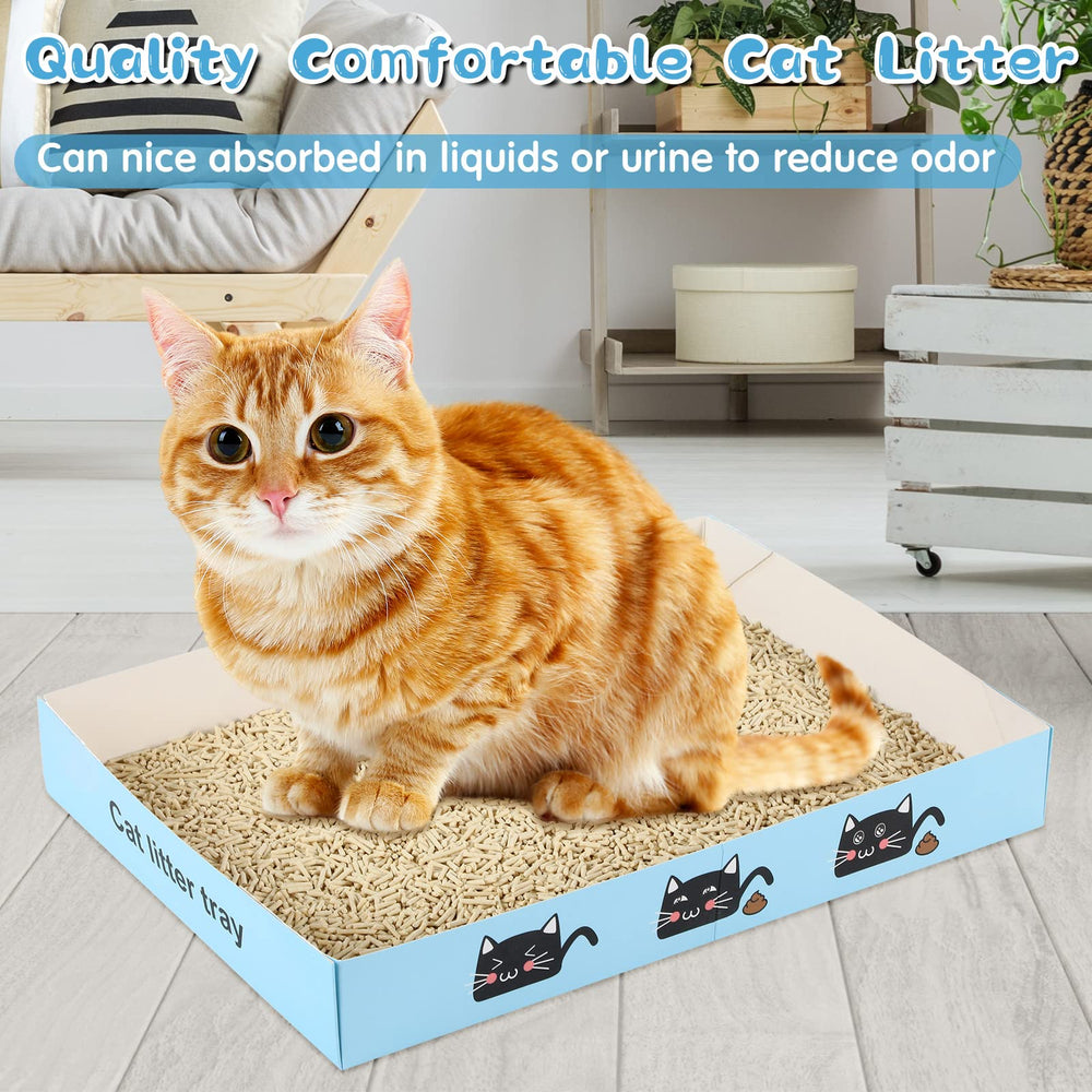 Amyhill bac litière en usage avec chat garantissant hygiène simple