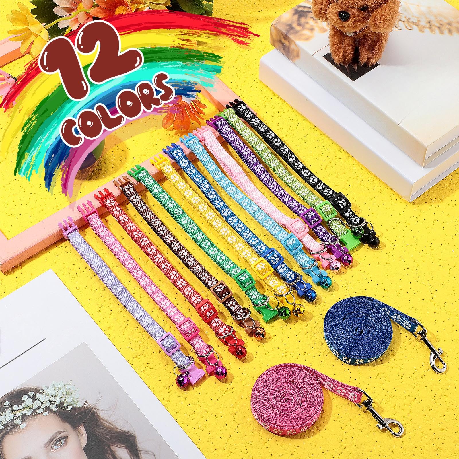 Collier Amylove porté par petit chien lors d'une promenade, confort et contrôle