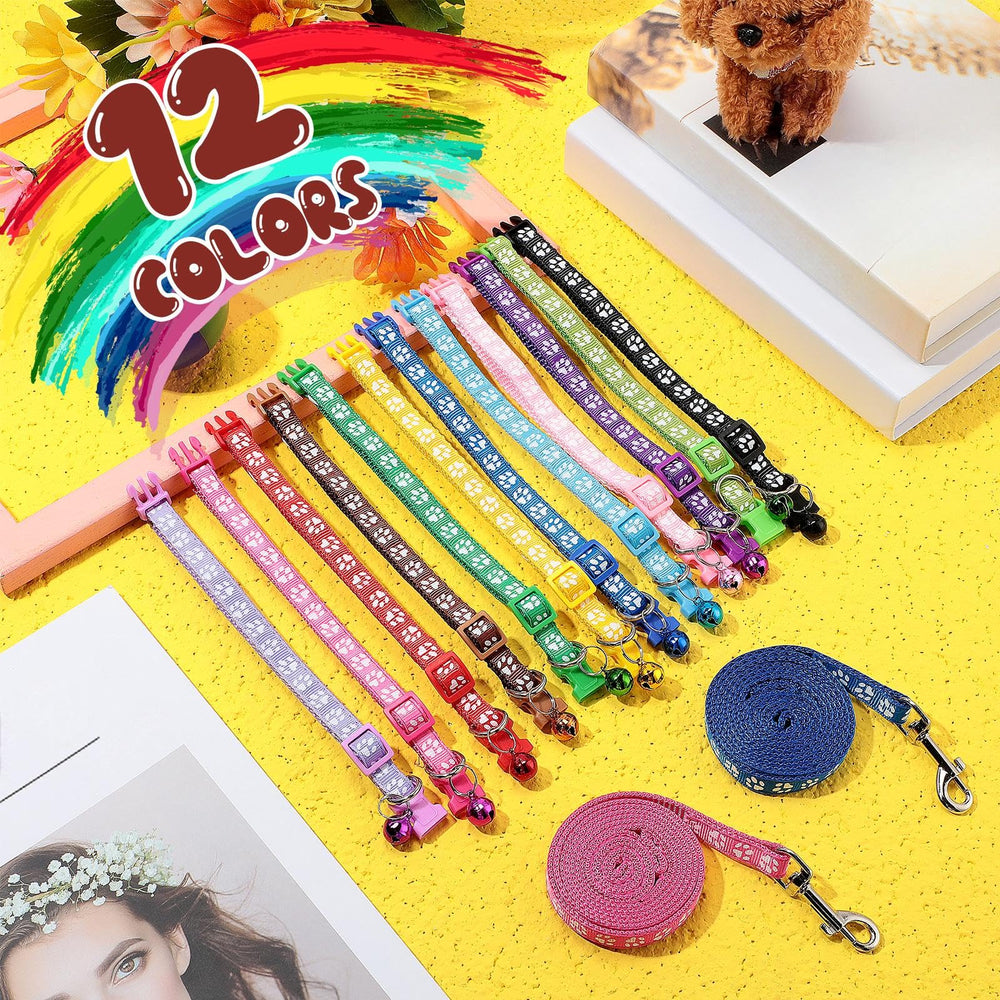Collier Amylove porté par petit chien lors d'une promenade, confort et contrôle