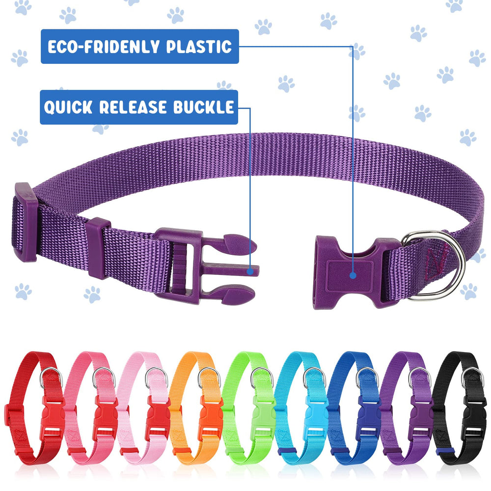 Gros plan sur la boucle Amylove en acier inoxydable pour un attachement sécurisé