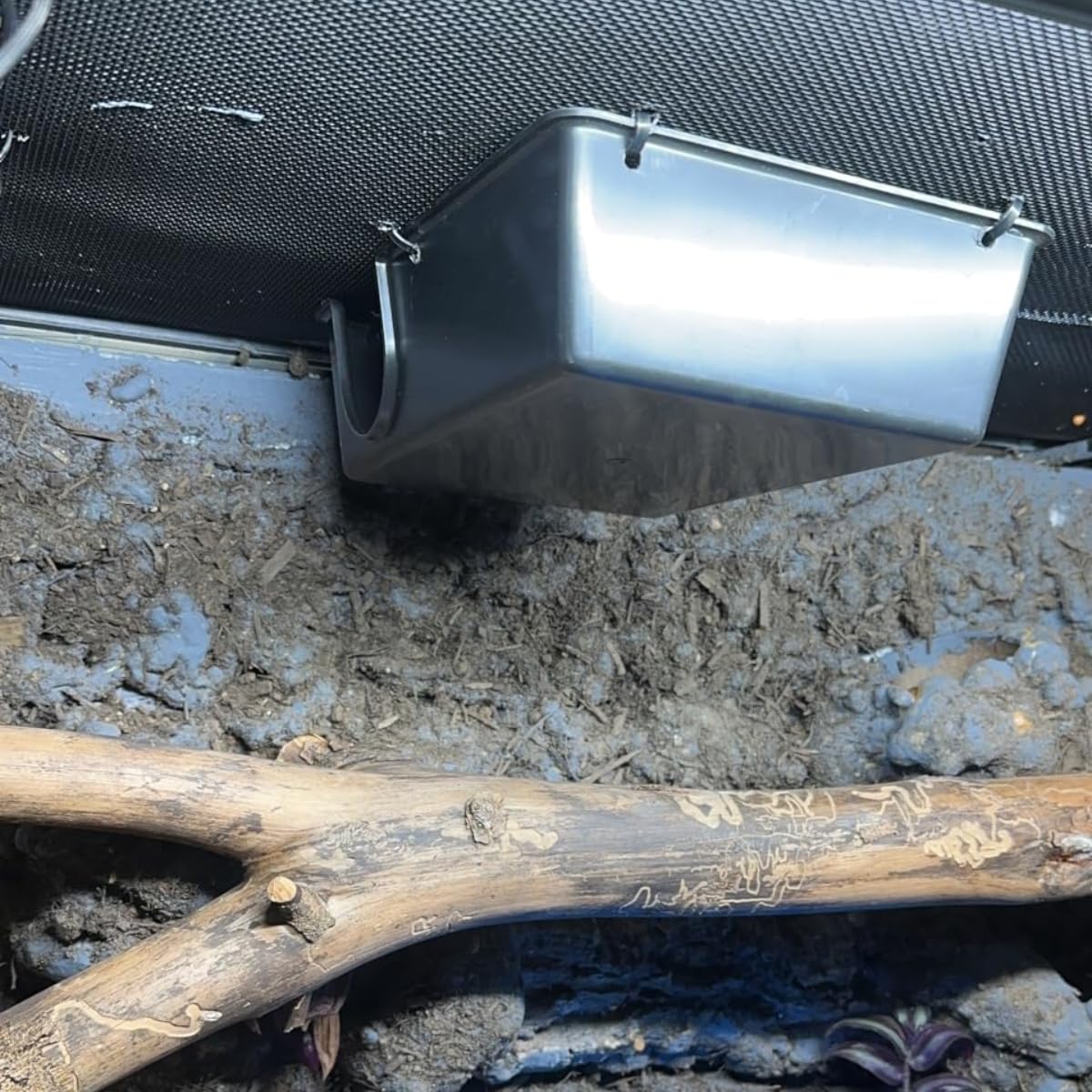 SDZGQPET Amypet gros plan sur la matière lisse durable facile à nettoyer