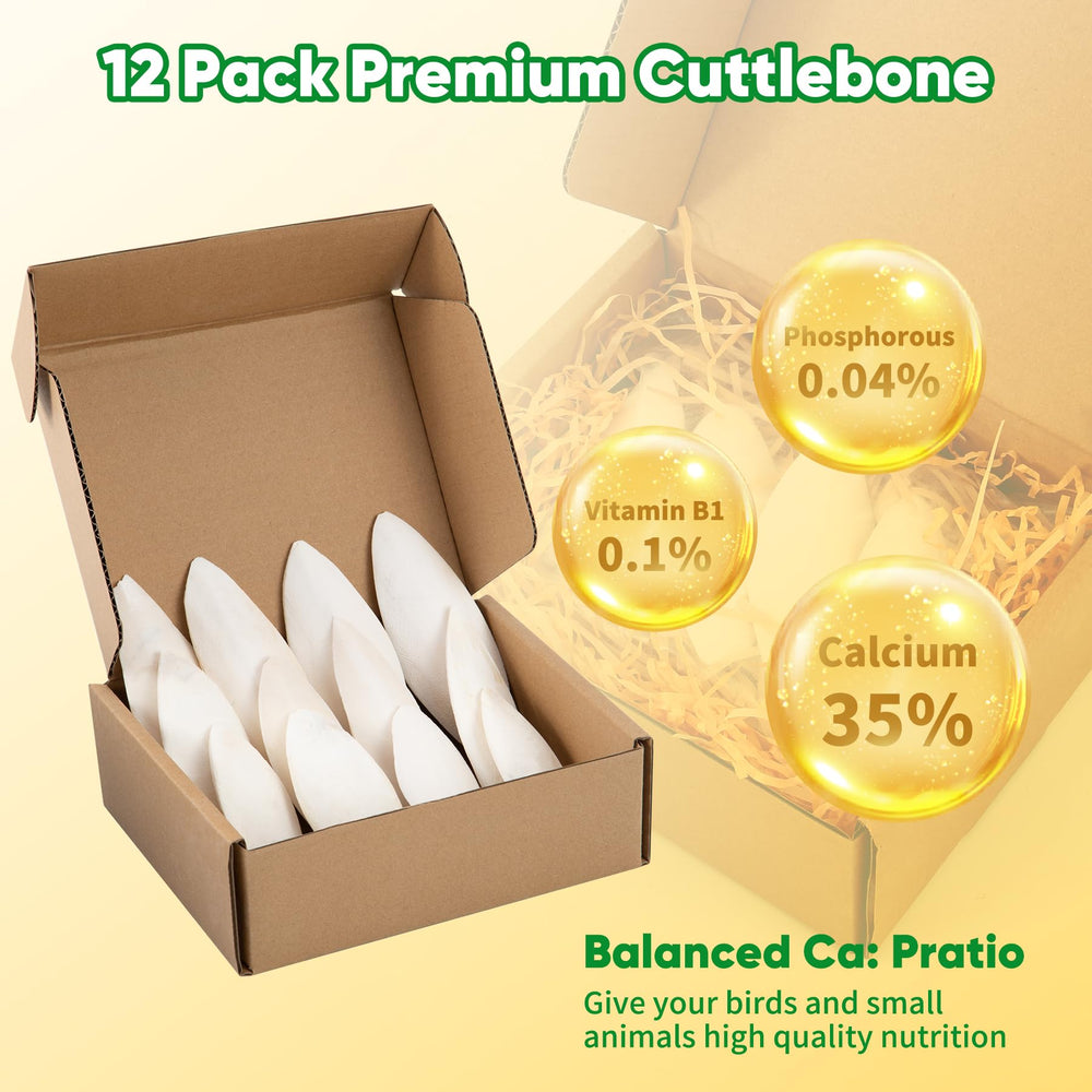 Amzey gros plan sur la texture naturelle montrant abrasion utile pour le bec