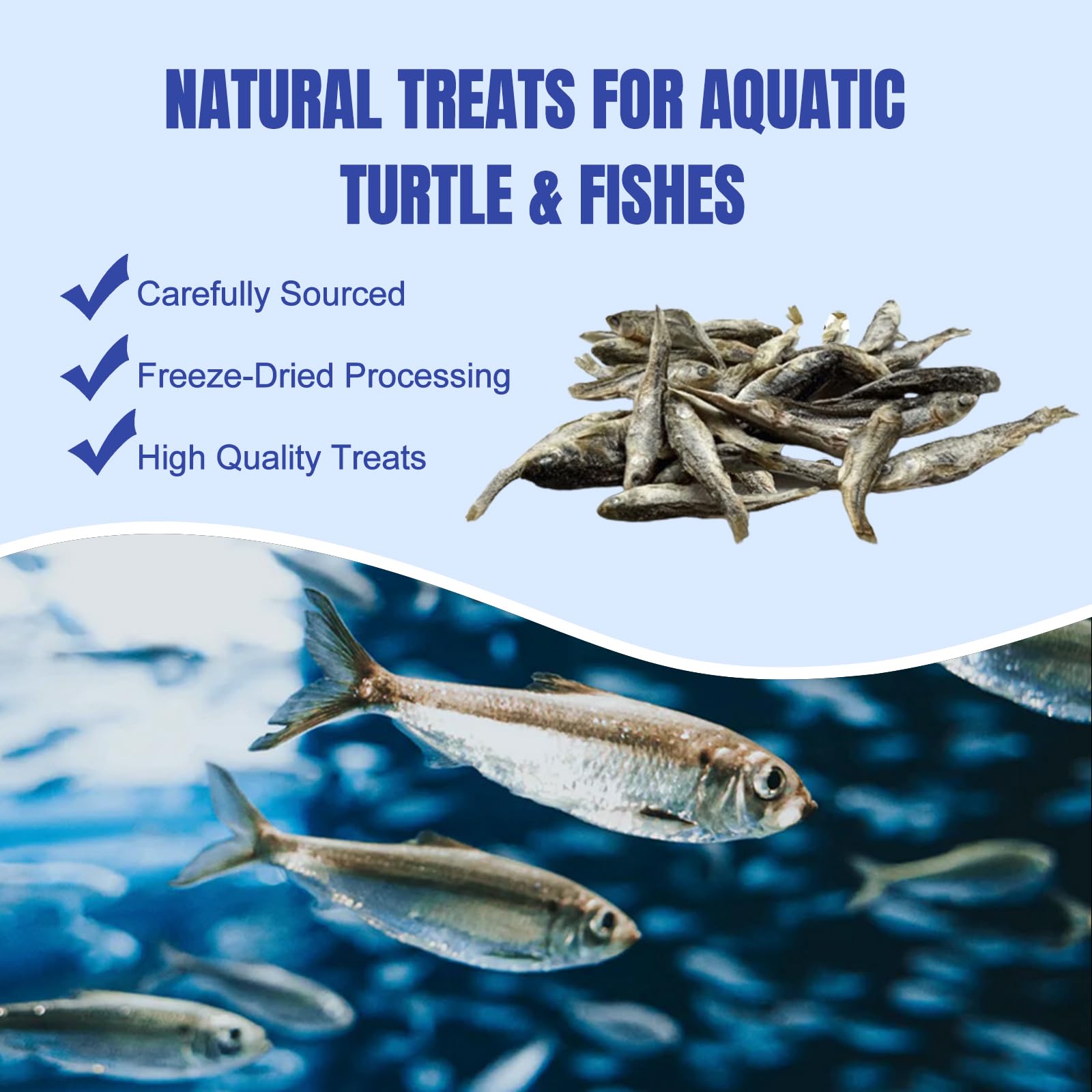 Amzey poissons dans la main pour présenter échelle et portion appropriée