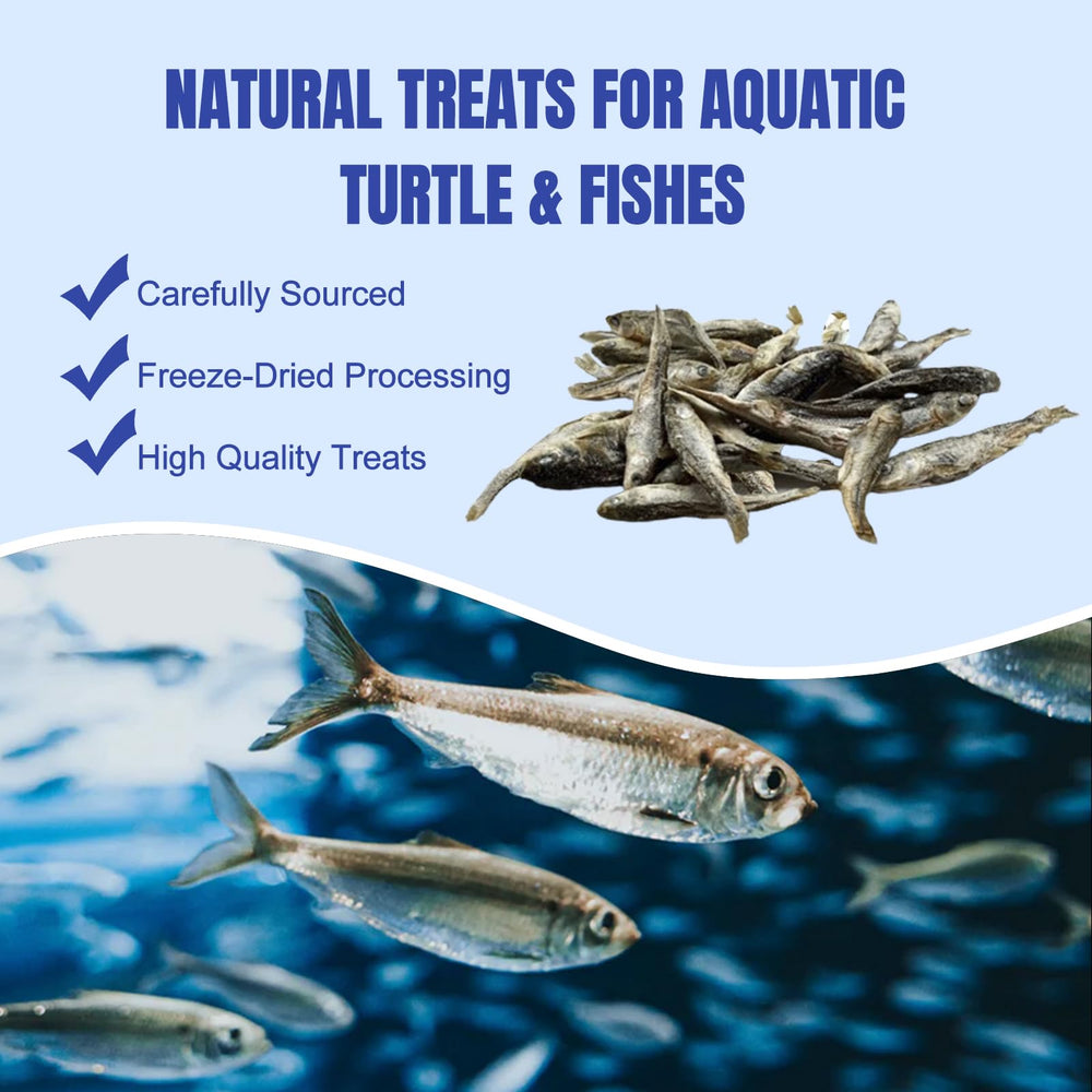 Amzey poissons dans la main pour présenter échelle et portion appropriée