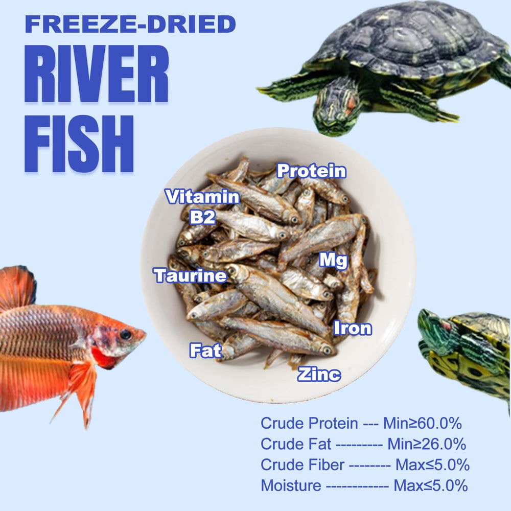 Amzey gros plan sur texture des poissons séchés montrant qualité et naturel