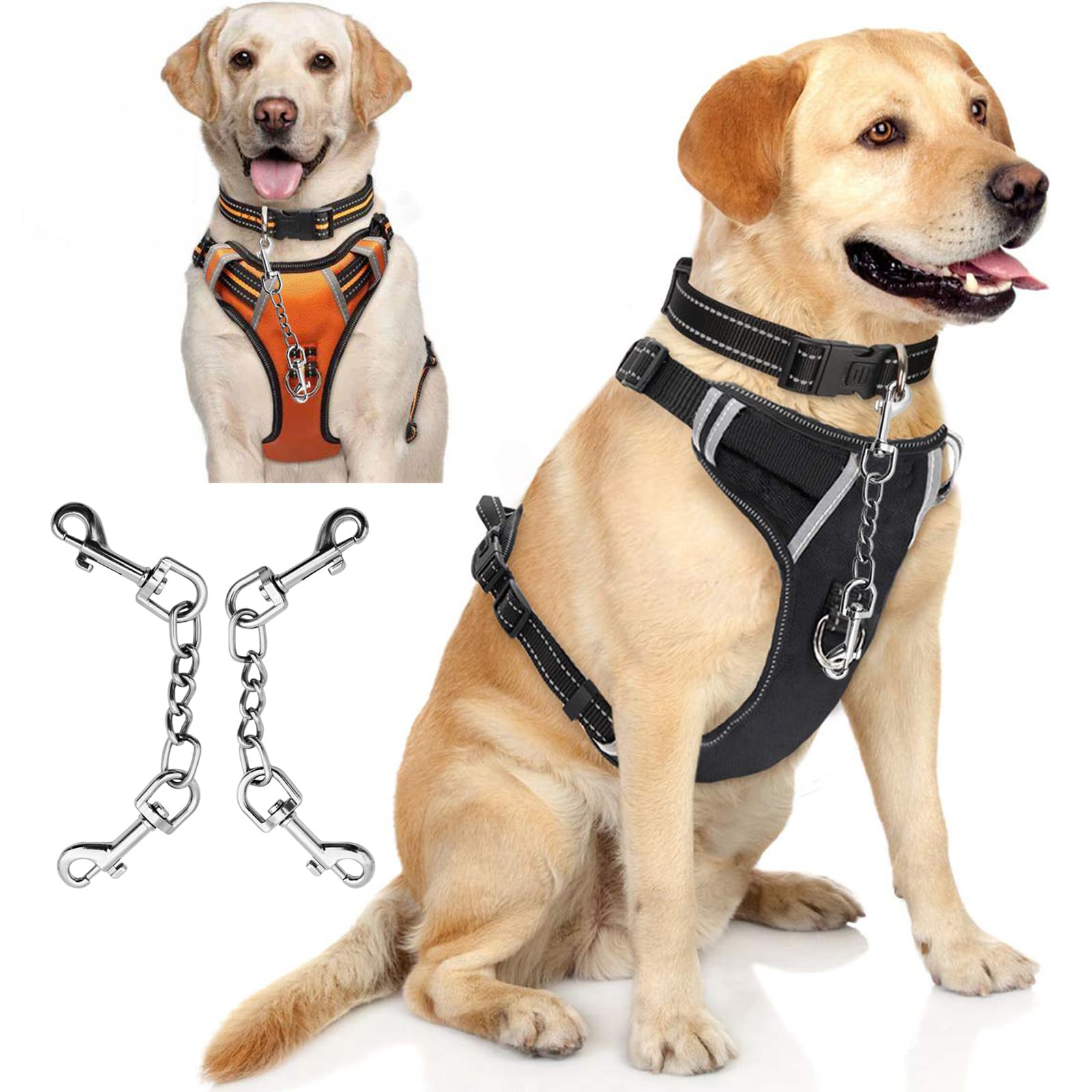 AncBace double connexion pour deux chiens, contrôle pratique