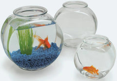 Anchor Hocking bol utilisé comme terrarium, montre structure et facile entretien