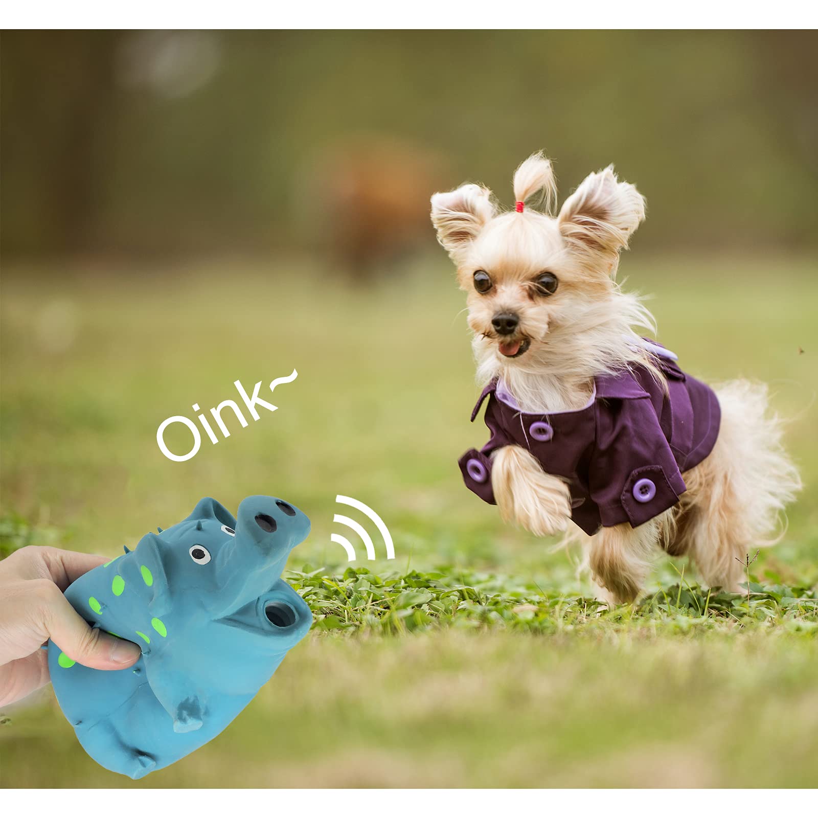 Andiker chien qui joue dehors pour occuper et stimuler l'animal