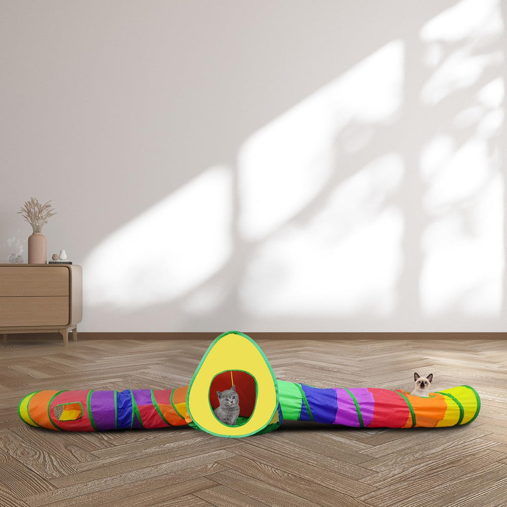Andiker tente avec balle en peluche sur le dessus, attire l'attention du chat