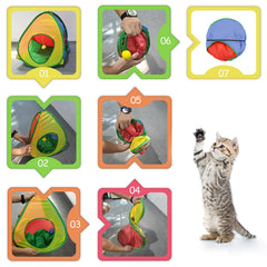Andiker tente en usage avec chaton jouant, stimulation et confort visibles