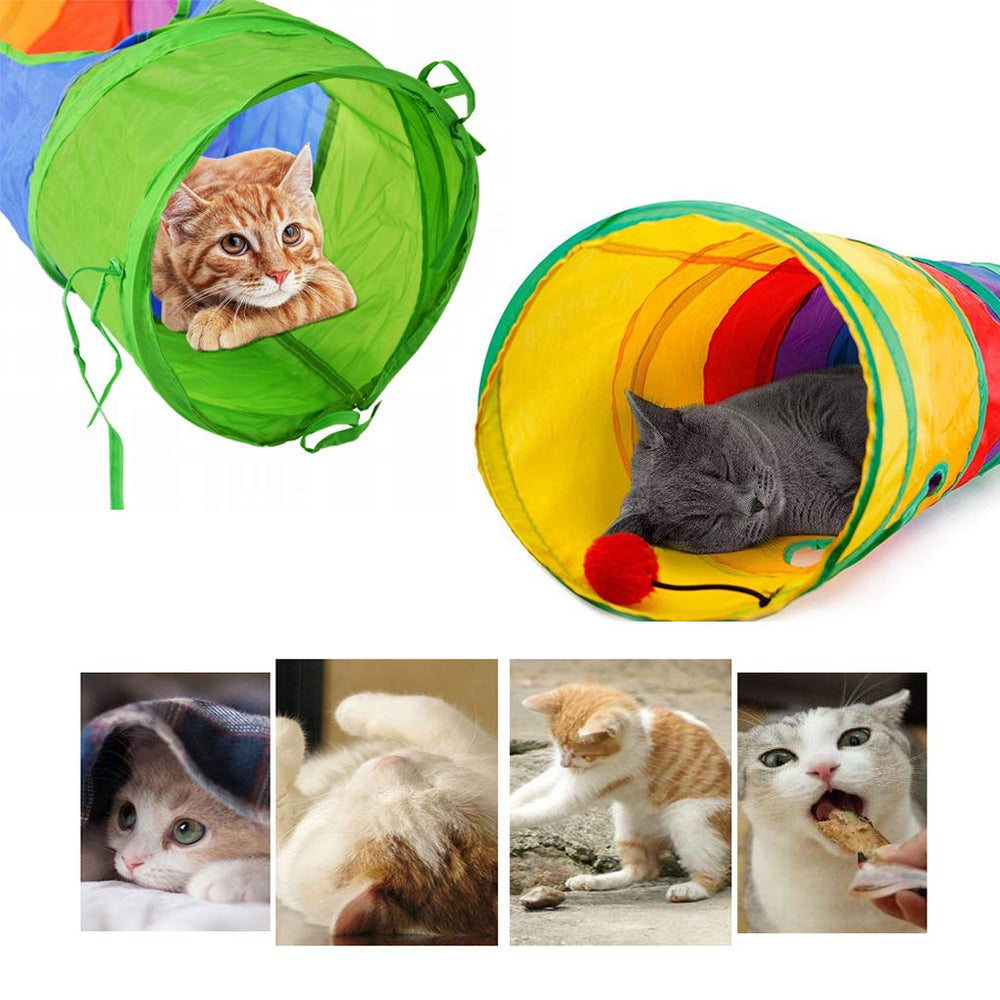 Andiker tunnel comparaison échelle Andiker montre taille adaptée chats adultes