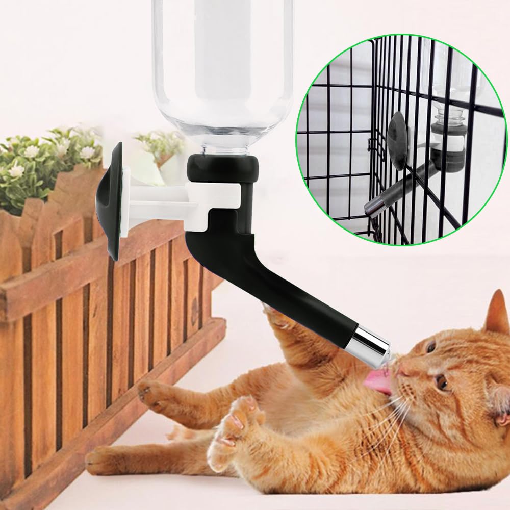 Andiker utilisé dans un enclos montrant l'accès pratique pour l'animal