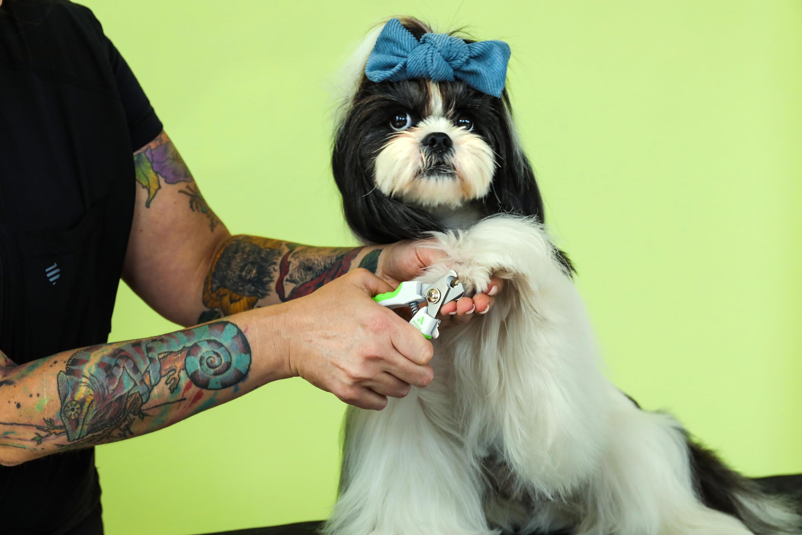 Andis coupe-ongles verrou de sécurité pour rangement sûr et transport facile