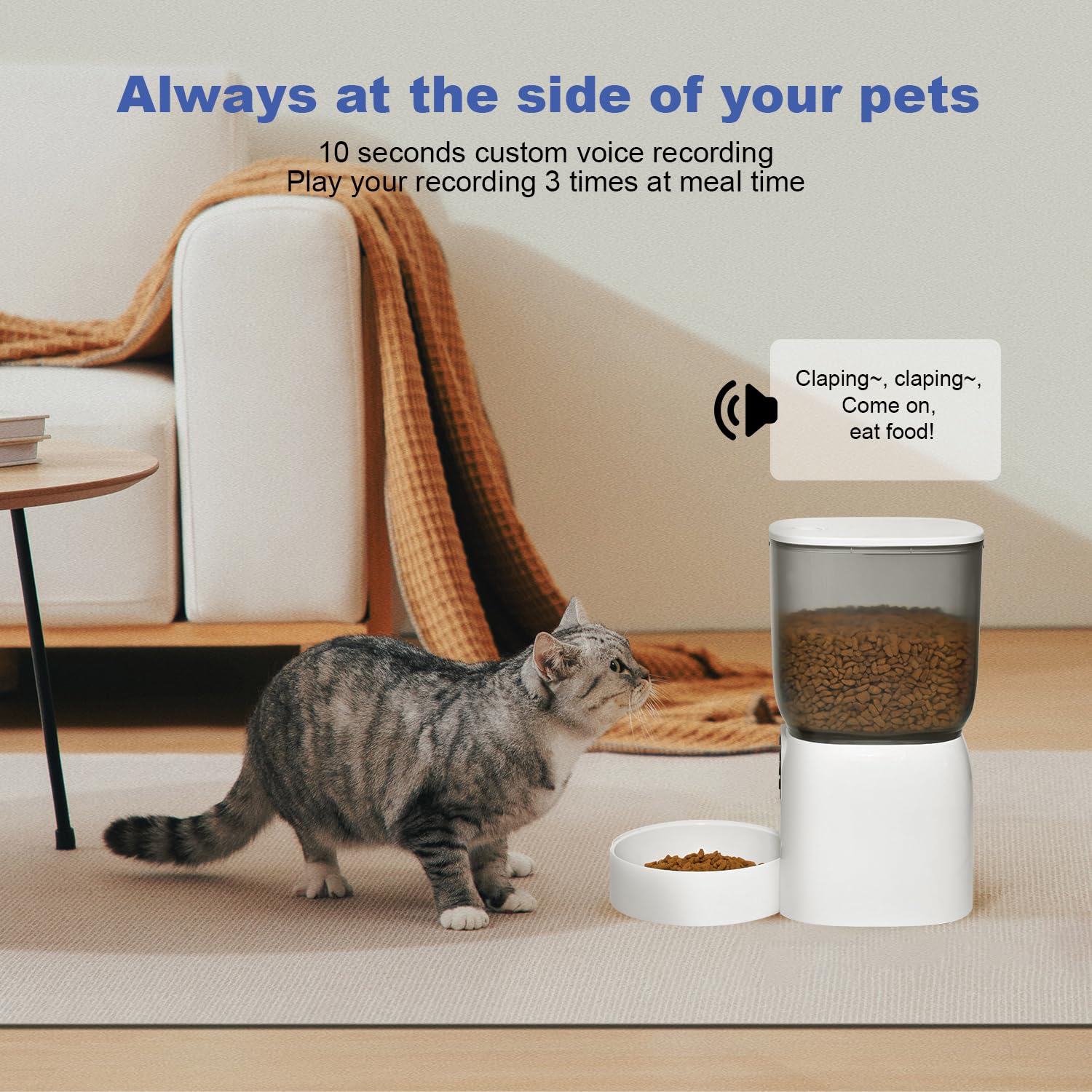 ANDOLL HOME en action avec chat consommant confortablement les croquettes