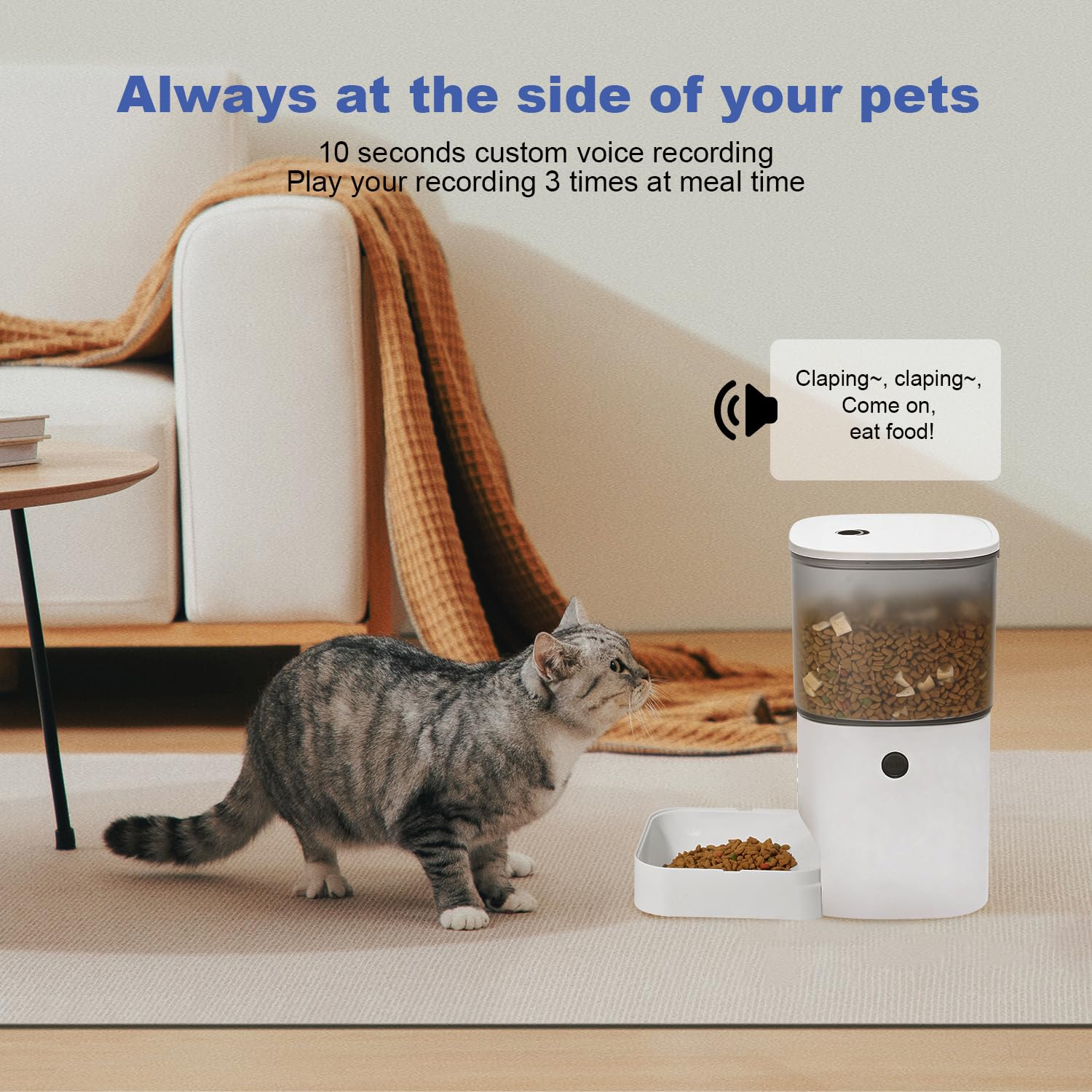ANDOLL HOME en usage avec un chat illustrant interaction vocale et appel au repas