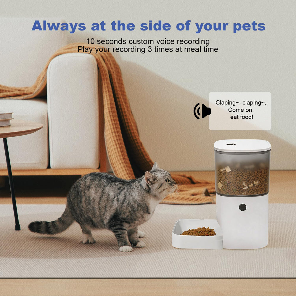 ANDOLL HOME en usage avec un chat illustrant interaction vocale et appel au repas