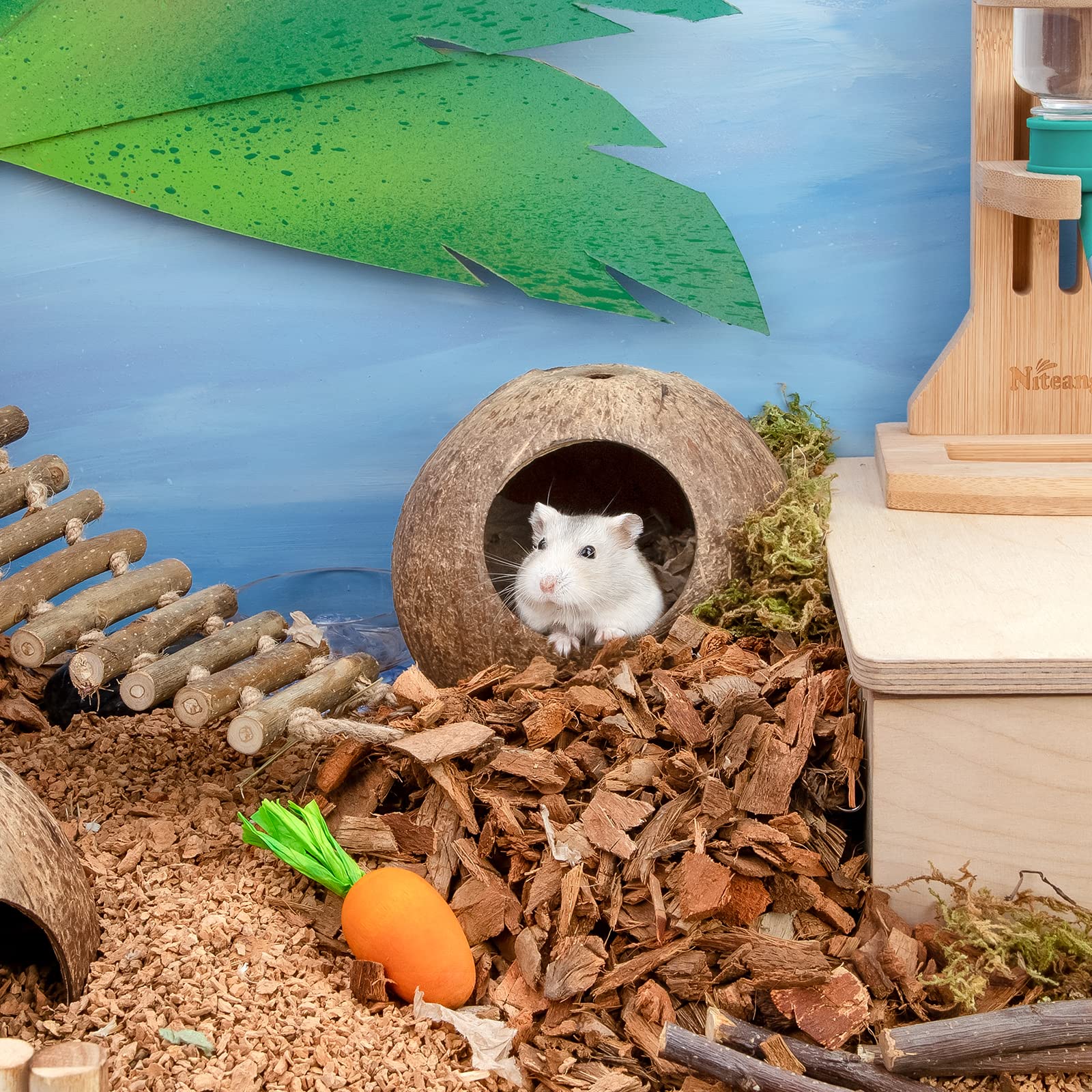 andwe Coconut Hut gros plan sur l'entrée facilitant l'accès et la sécurité