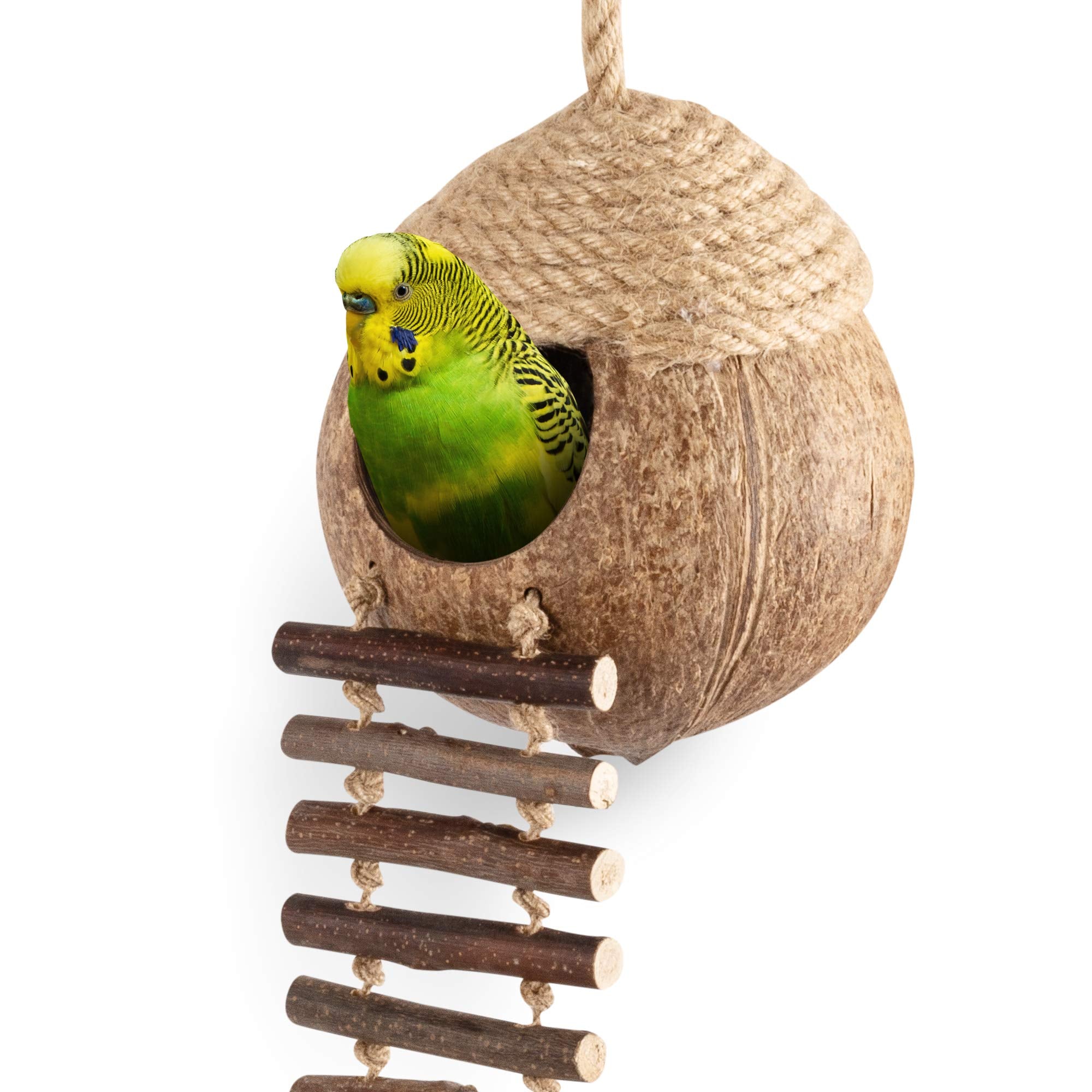 andwe nid de coco face montrant l'entrée et avantage refuge sûr