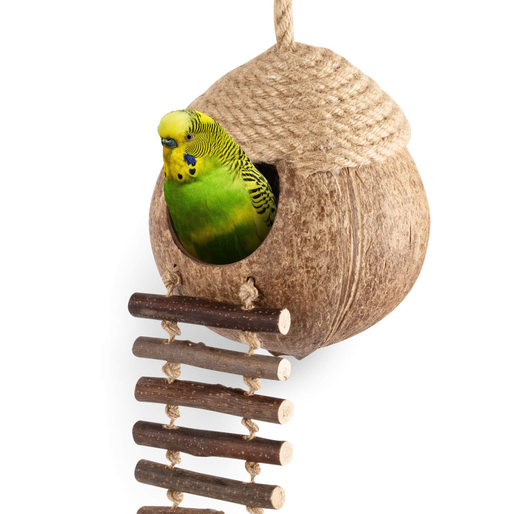 andwe nid de coco face montrant l'entrée et avantage refuge sûr
