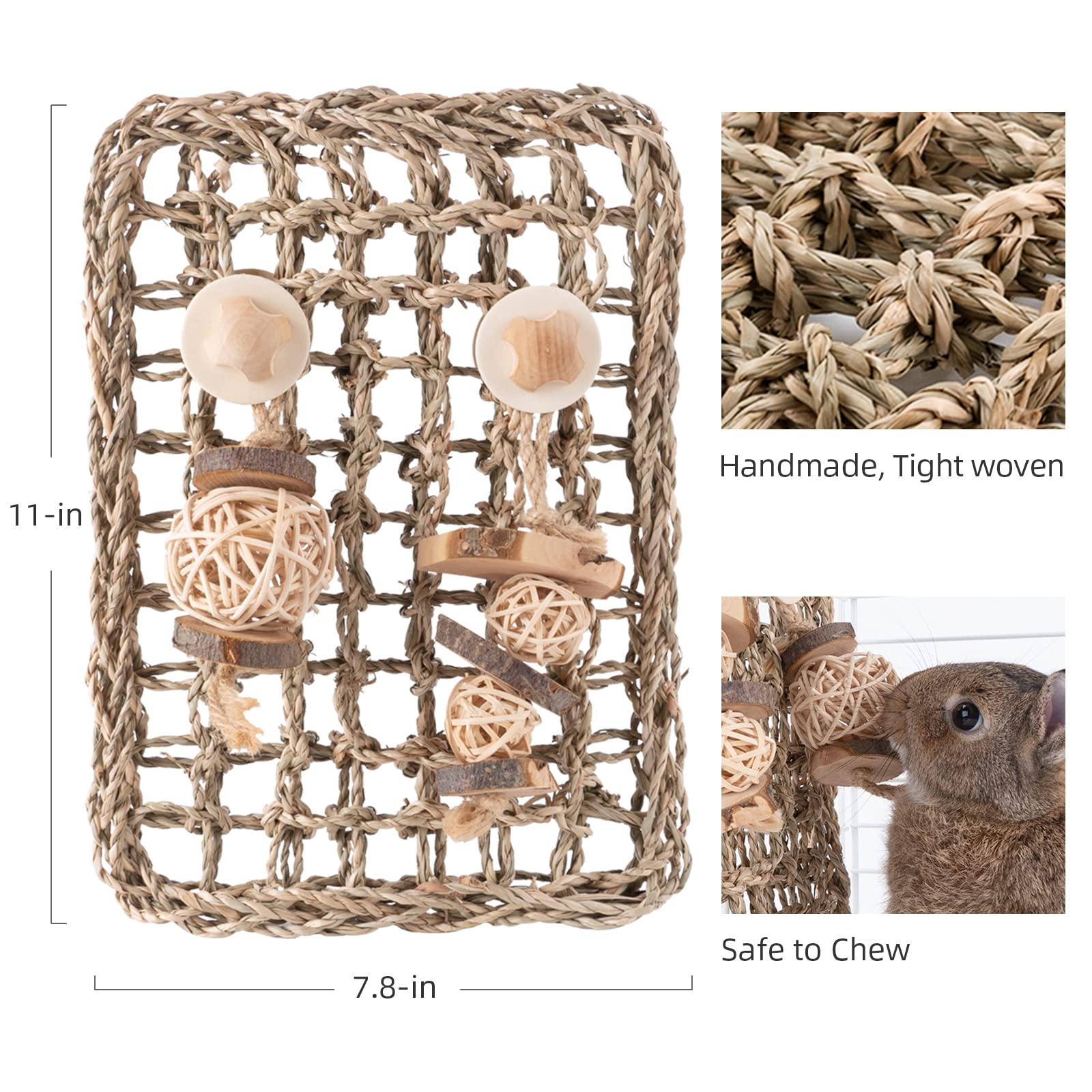 andwe comparaison taille avec règle, dimensions 11×7,87 pouces