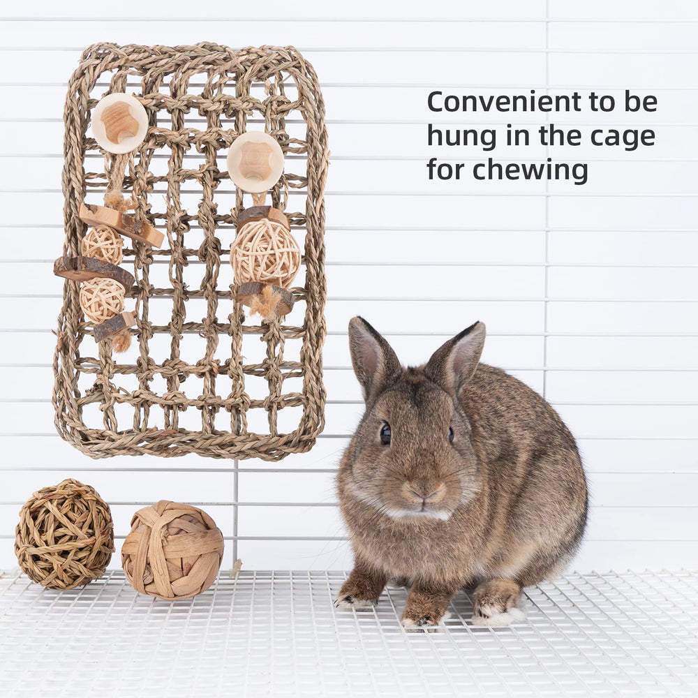 andwe lapin en interaction avec le tapis, favorise l’activité