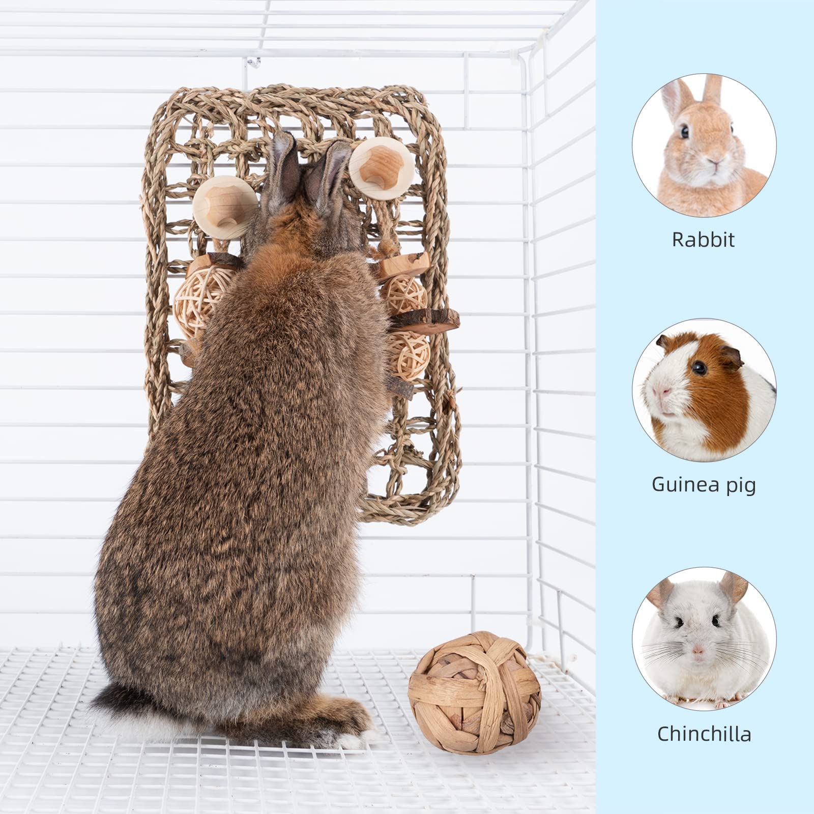 andwe gros plan texture en herbe de mer, stimule la mastication