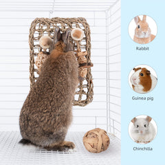 andwe gros plan texture en herbe de mer, stimule la mastication