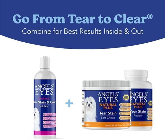 Main appliquant ANGELS' EYES autour de l'œil d'un chien pour un nettoyage doux et apaisant
