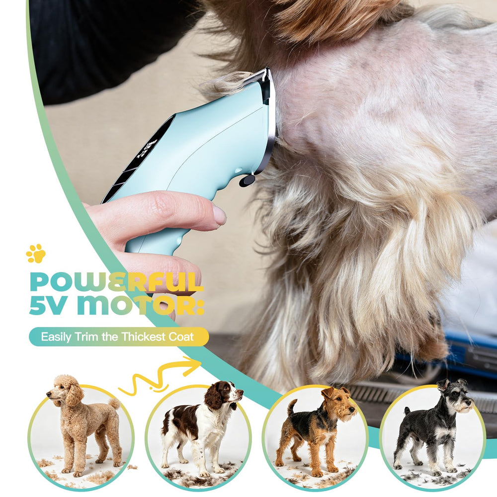 AngFan tondeuse en usage sur chien calme pour toilettage sûr
