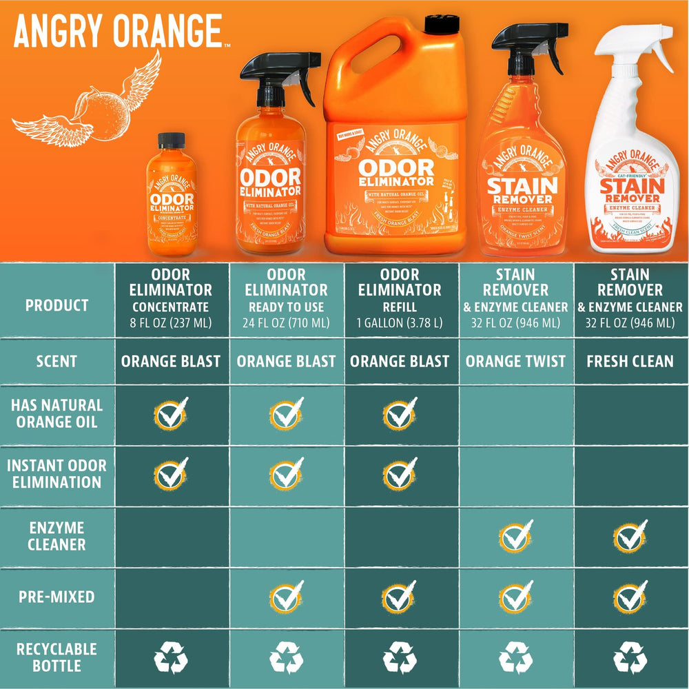 ANGRY ORANGE scène domestique avec chien après nettoyage, intérieur frais et sans odeur