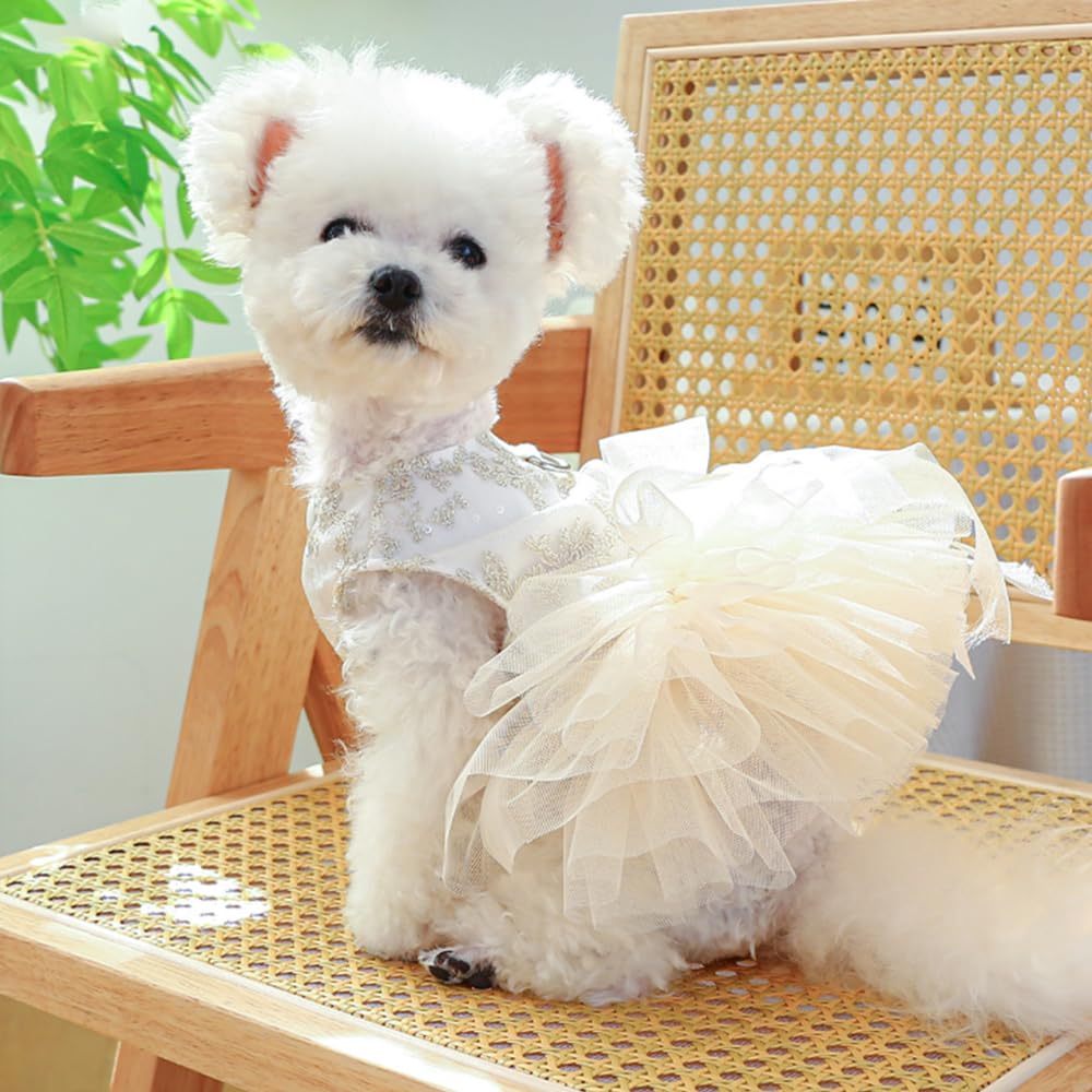 ANIAC petit chien portant la robe avec anneau de laisse sécurisé