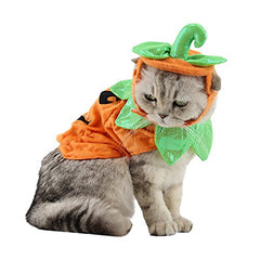ANIAC costume citrouille face montrant l'ensemble chapeau et cape, look festif