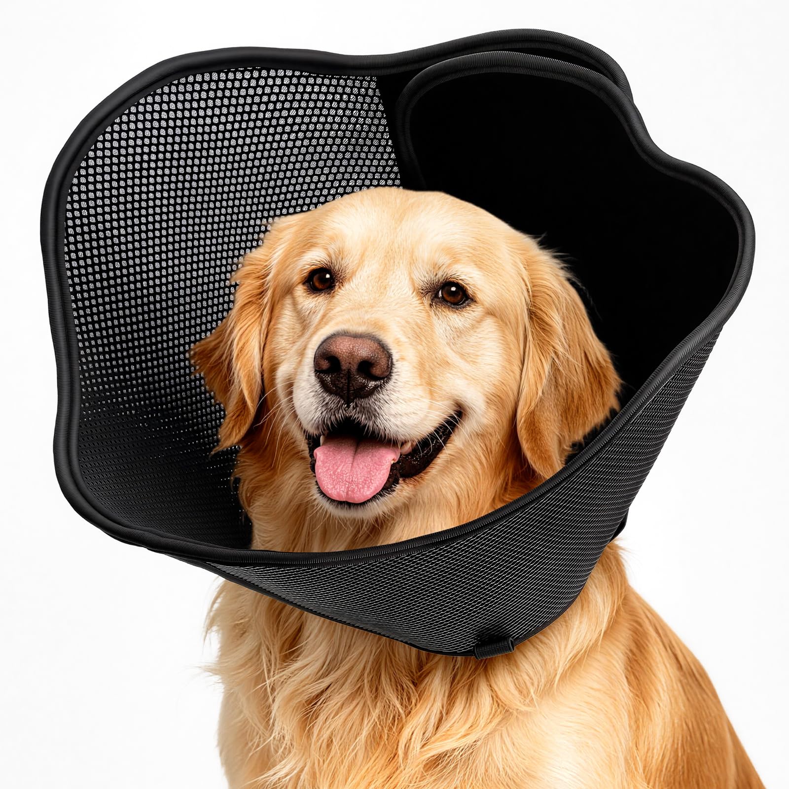 AnimaCure collerette vue avant montrant protection et confort