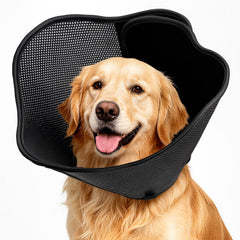 AnimaCure collerette vue avant montrant protection et confort