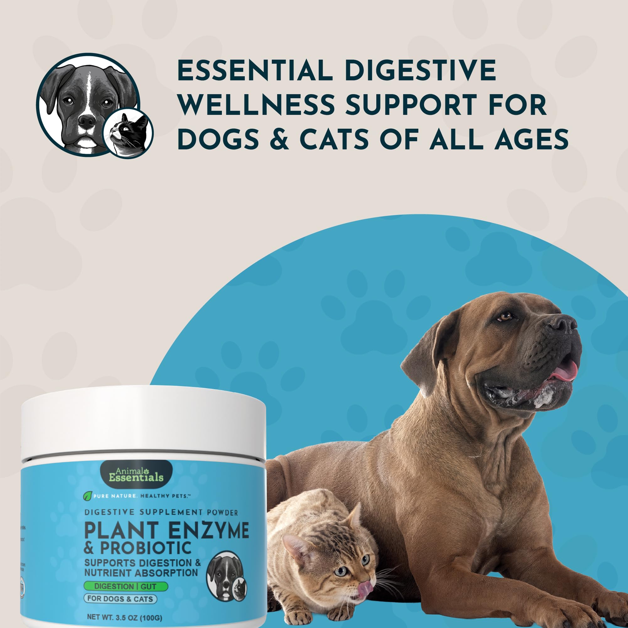 Animal Essentials chien ou chat mangeant, montrant confort digestif et appétit