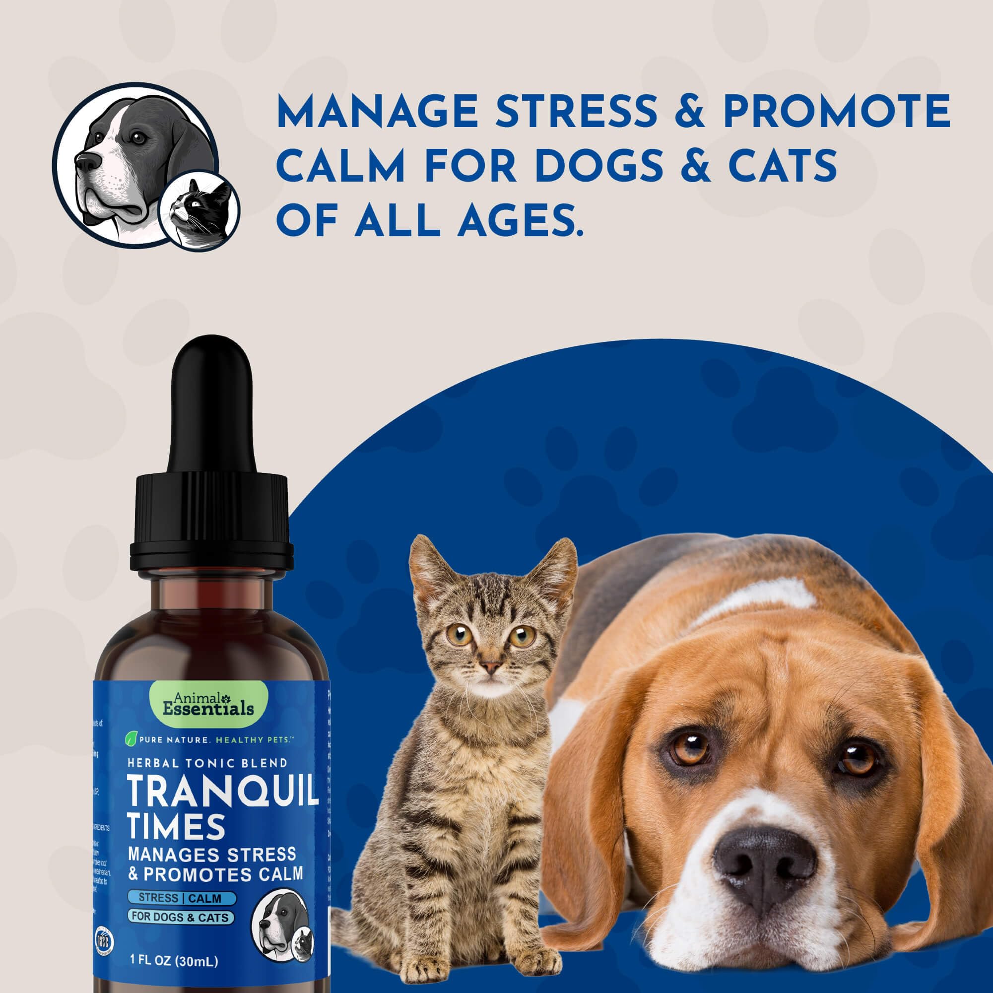 Animal Essentials chien détendu sur canapé illustrant relaxation naturelle