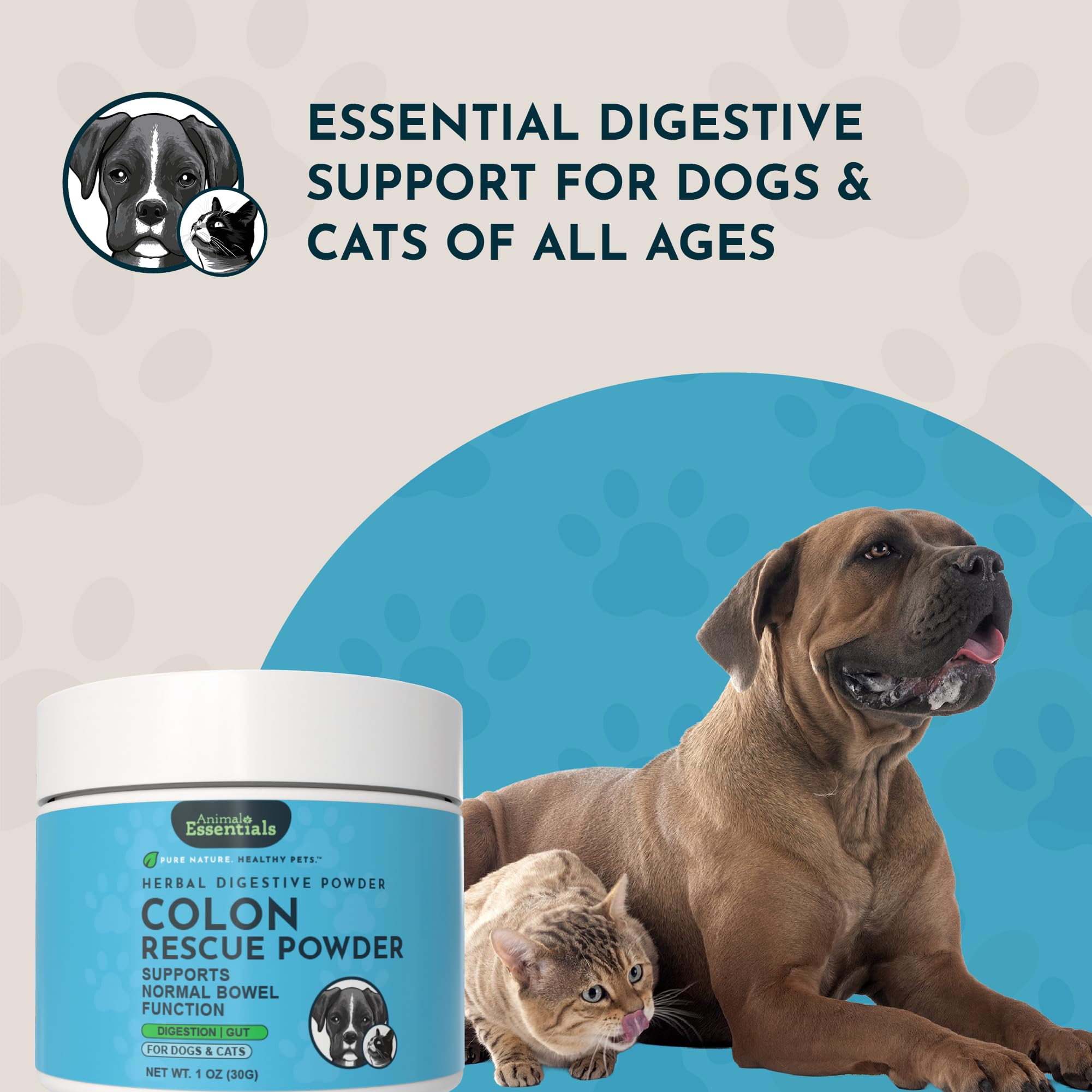 Animal Essentials chien consommant mélange pour confort digestif quotidien