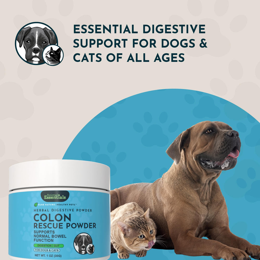 Animal Essentials chien consommant mélange pour confort digestif quotidien