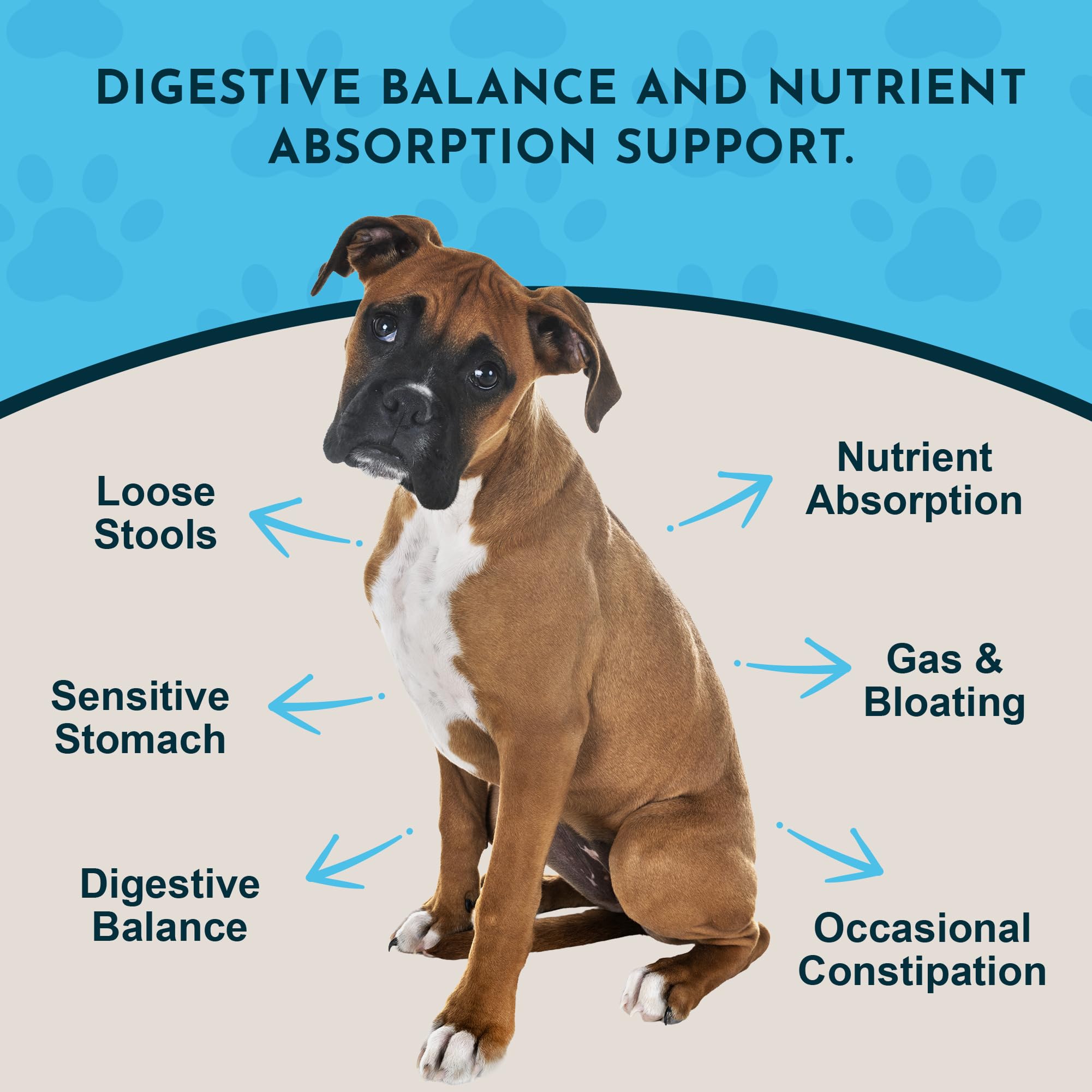 Animal Essentials gros plan sur la texture de la poudre pour dosage précis