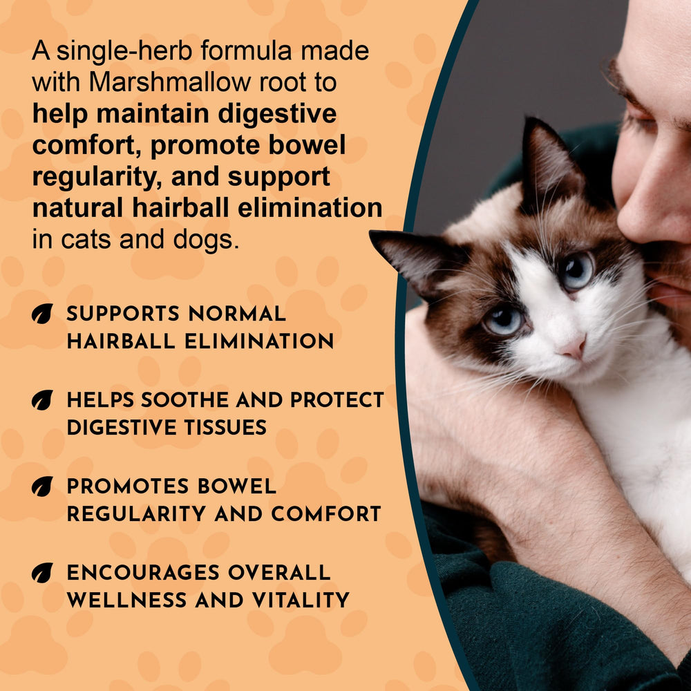 Animal Essentials produit avec plantes illustrant ingrédients naturels durables