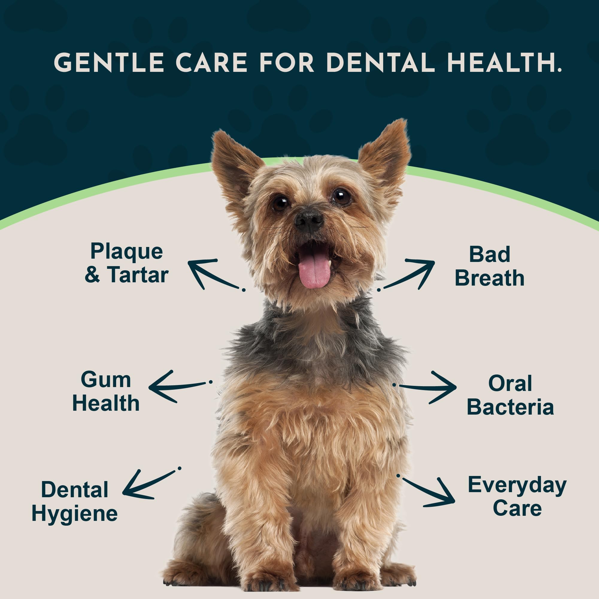 Animal Essentials Sea‑Dent saupoudré sur aliments pour administration facile