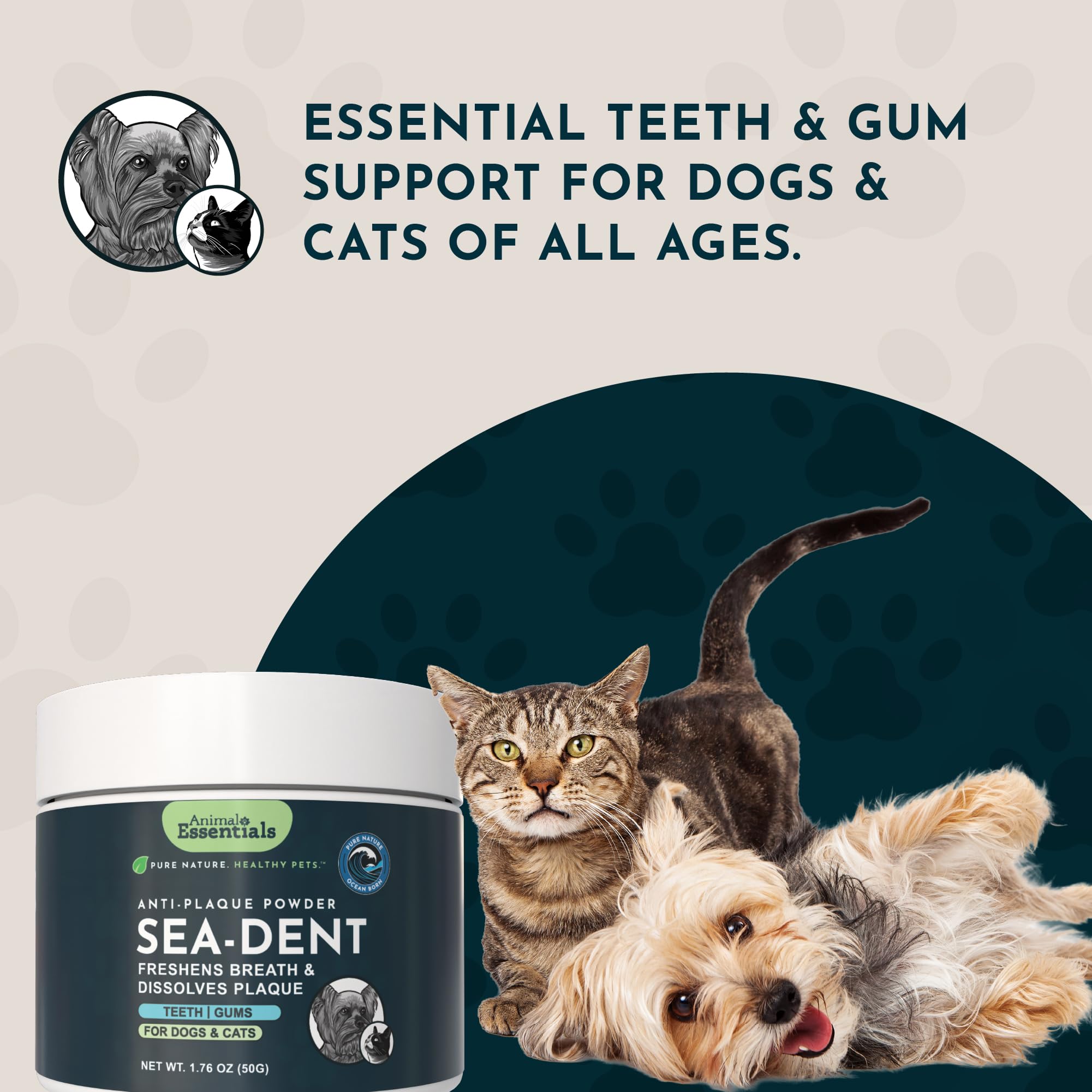Animal Essentials Sea‑Dent pot ouvert montrant conservation recommandée