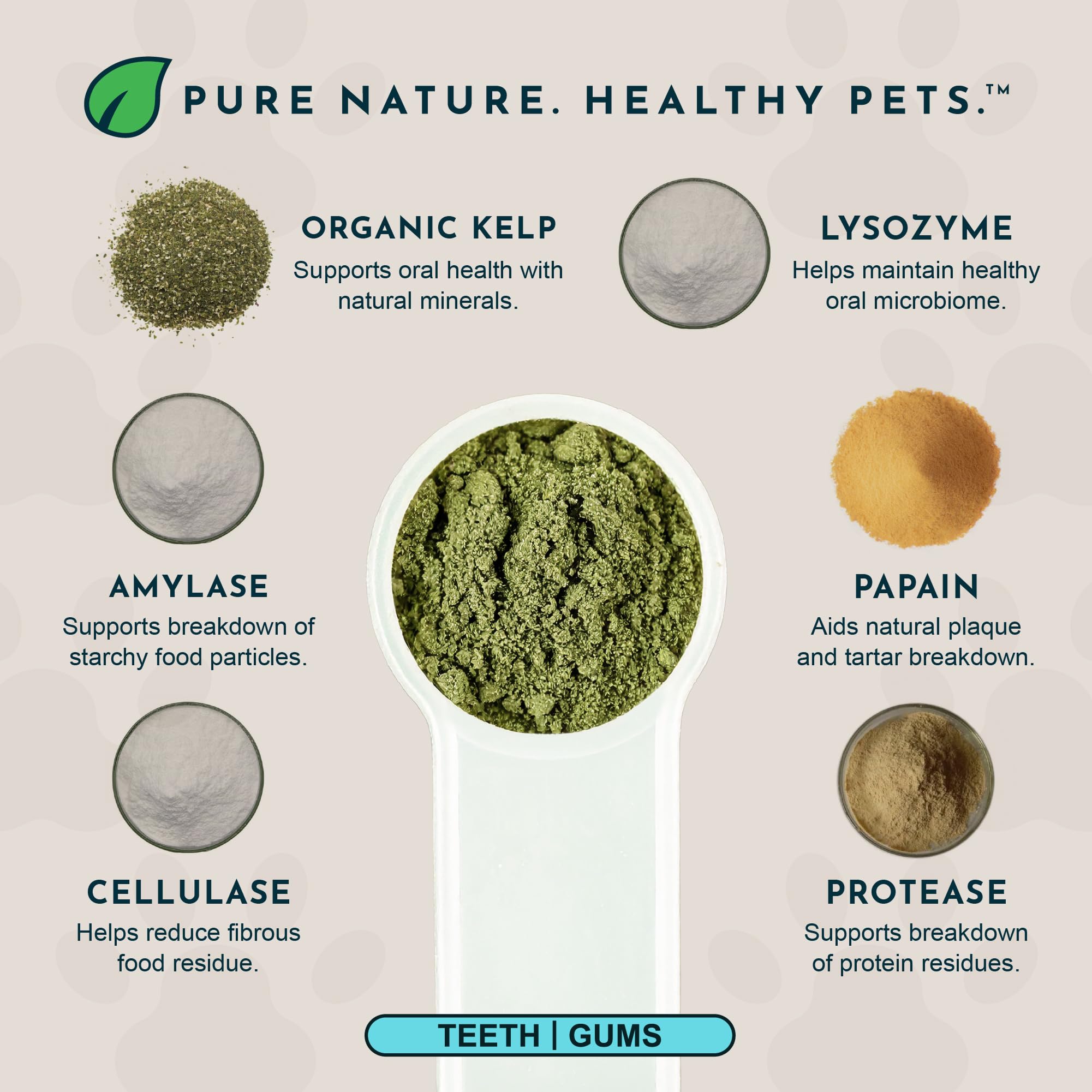 Animal Essentials Sea‑Dent varech biologique mis en valeur riche en minéraux