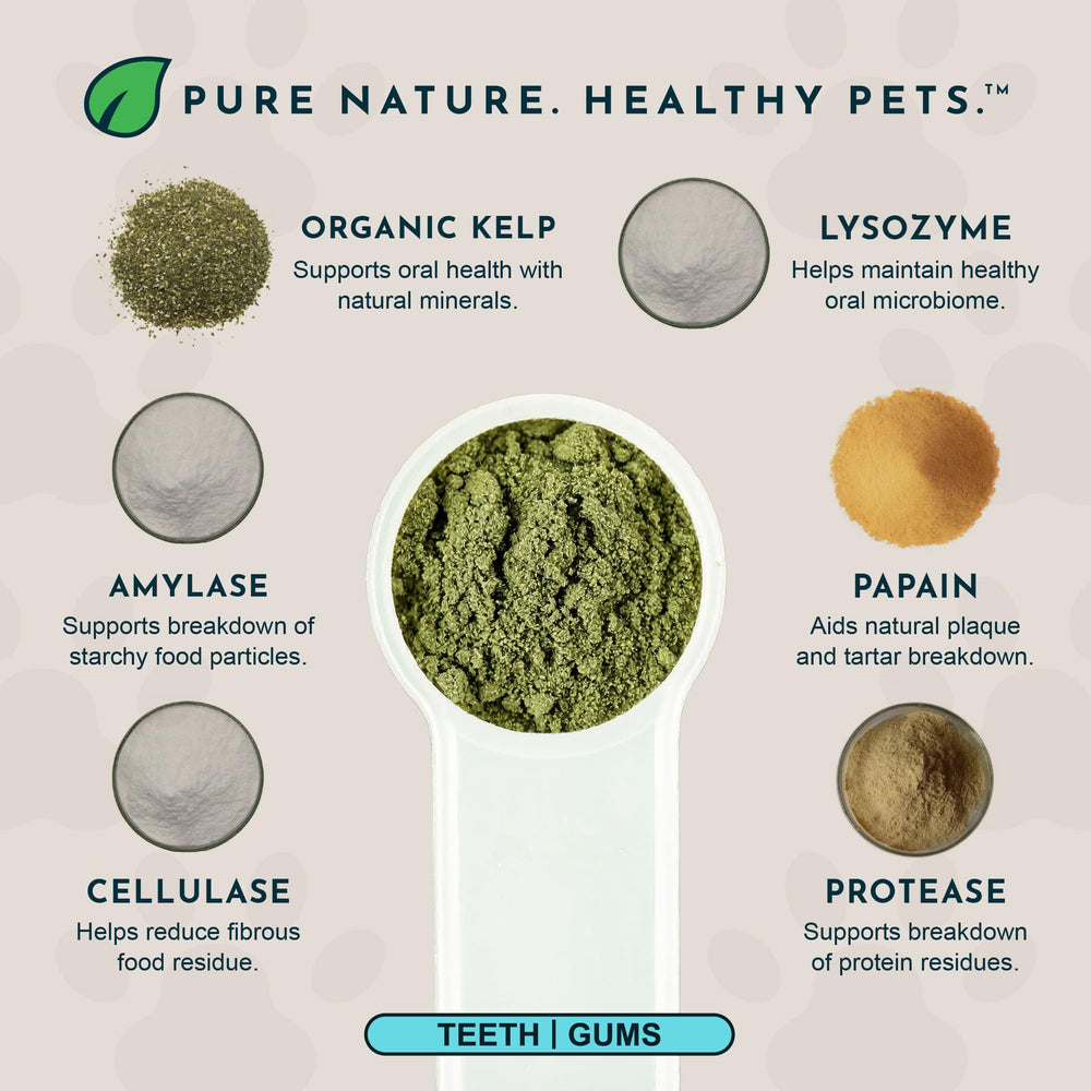 Animal Essentials Sea‑Dent varech biologique mis en valeur riche en minéraux