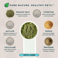 Animal Essentials Sea‑Dent varech biologique mis en valeur riche en minéraux